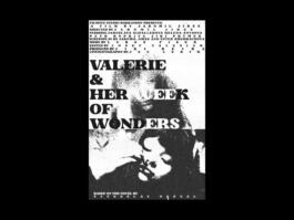 Portfolio of Matt Scott Barnes // mattscottbarnes.com