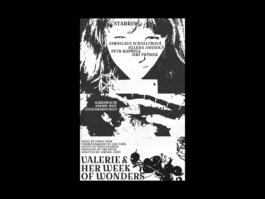 Portfolio of Matt Scott Barnes // mattscottbarnes.com