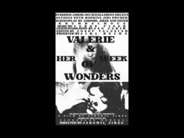 Portfolio of Matt Scott Barnes // mattscottbarnes.com