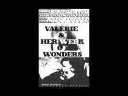 Portfolio of Matt Scott Barnes // mattscottbarnes.com