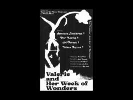 Portfolio of Matt Scott Barnes // mattscottbarnes.com