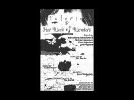 Portfolio of Matt Scott Barnes // mattscottbarnes.com