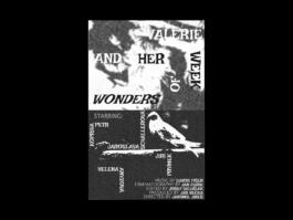 Portfolio of Matt Scott Barnes // mattscottbarnes.com