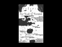 Portfolio of Matt Scott Barnes // mattscottbarnes.com