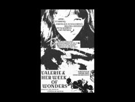 Portfolio of Matt Scott Barnes // mattscottbarnes.com