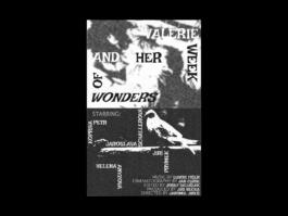 Portfolio of Matt Scott Barnes // mattscottbarnes.com