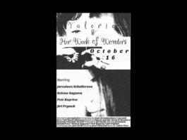 Portfolio of Matt Scott Barnes // mattscottbarnes.com