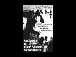 Portfolio of Matt Scott Barnes // mattscottbarnes.com