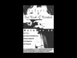 Portfolio of Matt Scott Barnes // mattscottbarnes.com