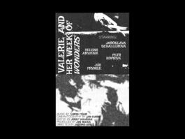 Portfolio of Matt Scott Barnes // mattscottbarnes.com