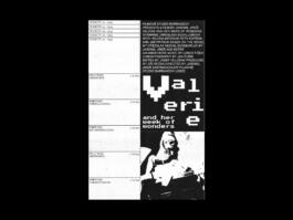 Portfolio of Matt Scott Barnes // mattscottbarnes.com