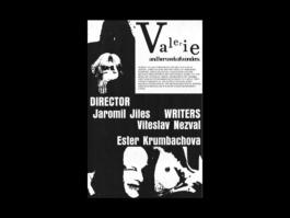 Portfolio of Matt Scott Barnes // mattscottbarnes.com