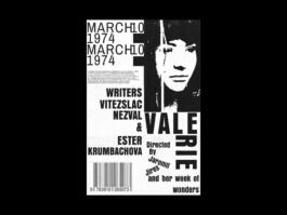 Portfolio of Matt Scott Barnes // mattscottbarnes.com