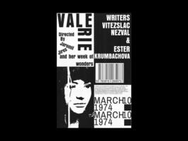 Portfolio of Matt Scott Barnes // mattscottbarnes.com