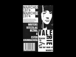 Portfolio of Matt Scott Barnes // mattscottbarnes.com