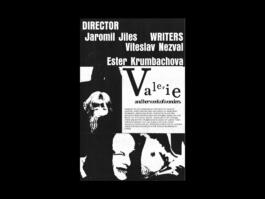 Portfolio of Matt Scott Barnes // mattscottbarnes.com