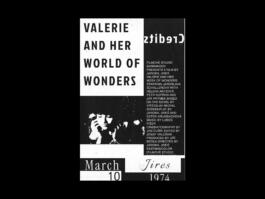 Portfolio of Matt Scott Barnes // mattscottbarnes.com