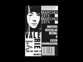 Portfolio of Matt Scott Barnes // mattscottbarnes.com