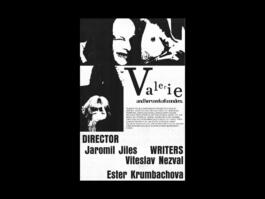 Portfolio of Matt Scott Barnes // mattscottbarnes.com