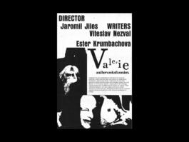 Portfolio of Matt Scott Barnes // mattscottbarnes.com