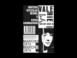 Portfolio of Matt Scott Barnes // mattscottbarnes.com