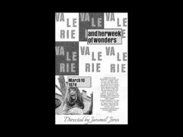 Portfolio of Matt Scott Barnes // mattscottbarnes.com