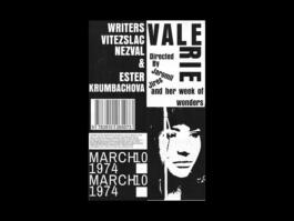 Portfolio of Matt Scott Barnes // mattscottbarnes.com