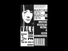 Portfolio of Matt Scott Barnes // mattscottbarnes.com