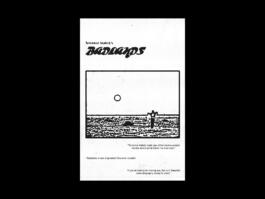 Portfolio of Matt Scott Barnes // mattscottbarnes.com