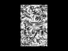 Portfolio of Matt Scott Barnes // mattscottbarnes.com