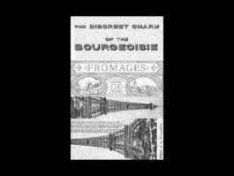 Portfolio of Matt Scott Barnes // mattscottbarnes.com