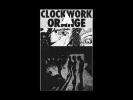 Portfolio of Matt Scott Barnes // mattscottbarnes.com