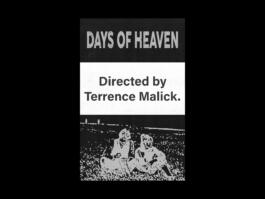 Portfolio of Matt Scott Barnes // mattscottbarnes.com