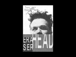 Portfolio of Matt Scott Barnes // mattscottbarnes.com