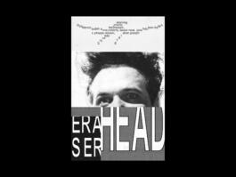 Portfolio of Matt Scott Barnes // mattscottbarnes.com