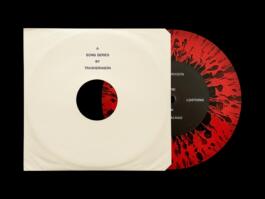 Portfolio of Matt Scott Barnes // mattscottbarnes.com